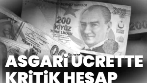 Yıllara Göre Asgari Ücret Tablosu Ne Söylüyor